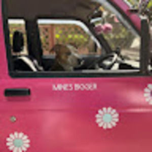 Meet your Posher, Waverly